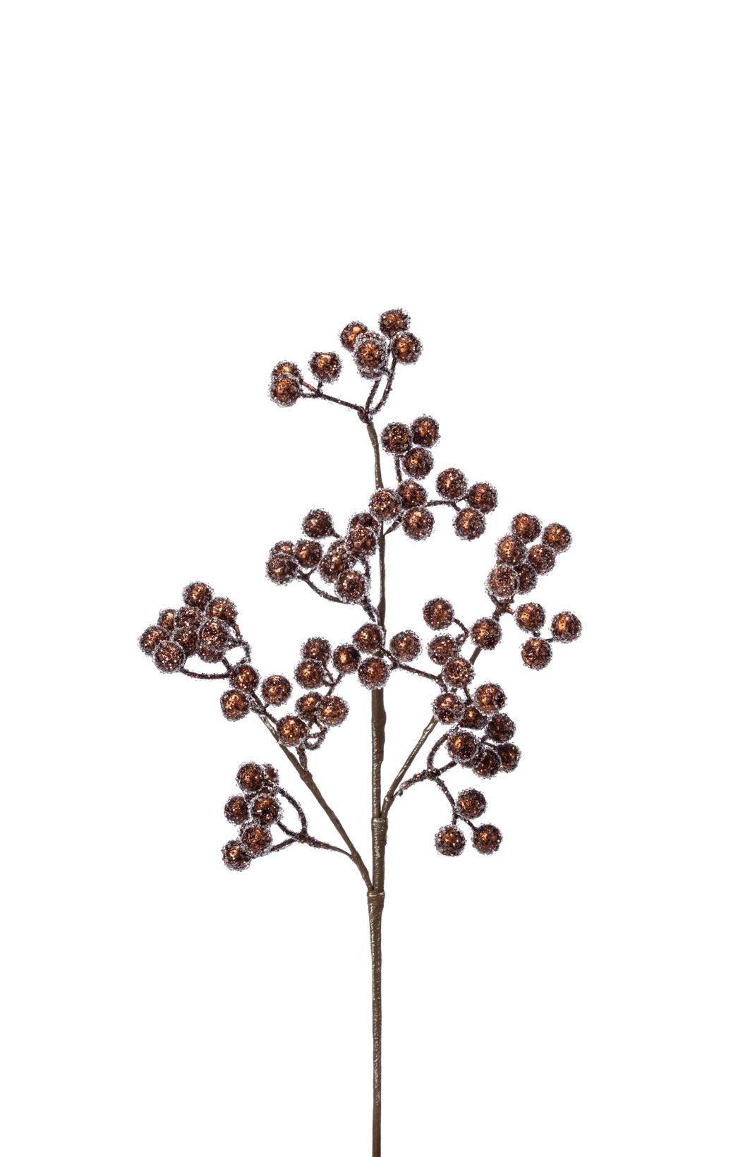 Brown Glistening Berry Stem