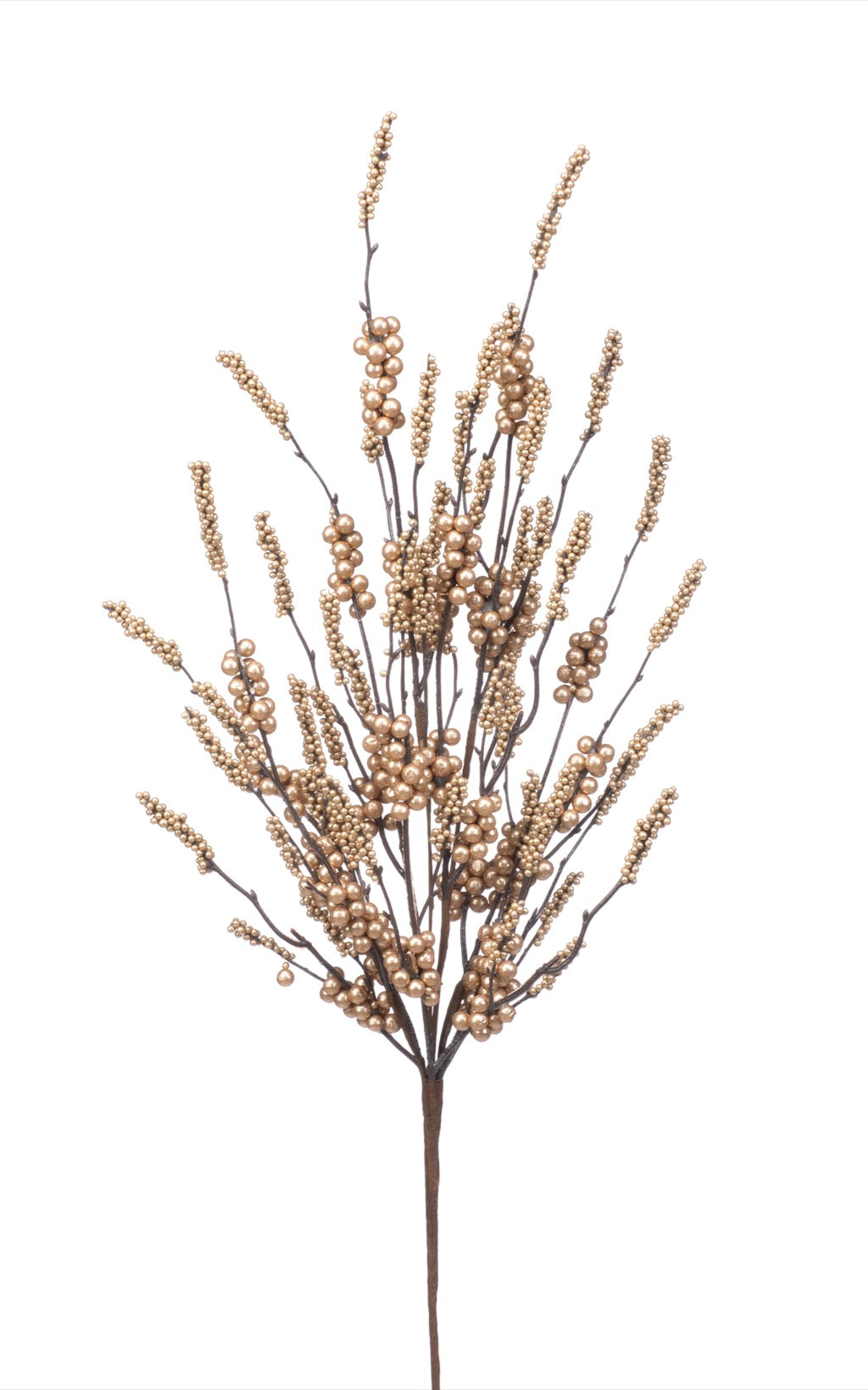 Gold Berry Cluster Bush