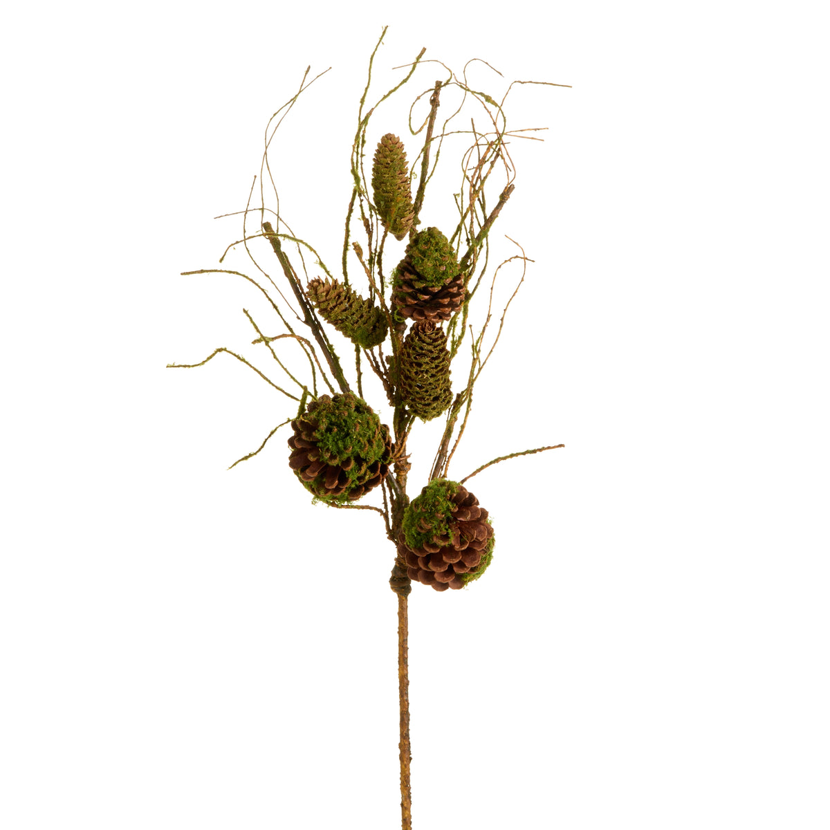 36” Moss Pinecone Branch