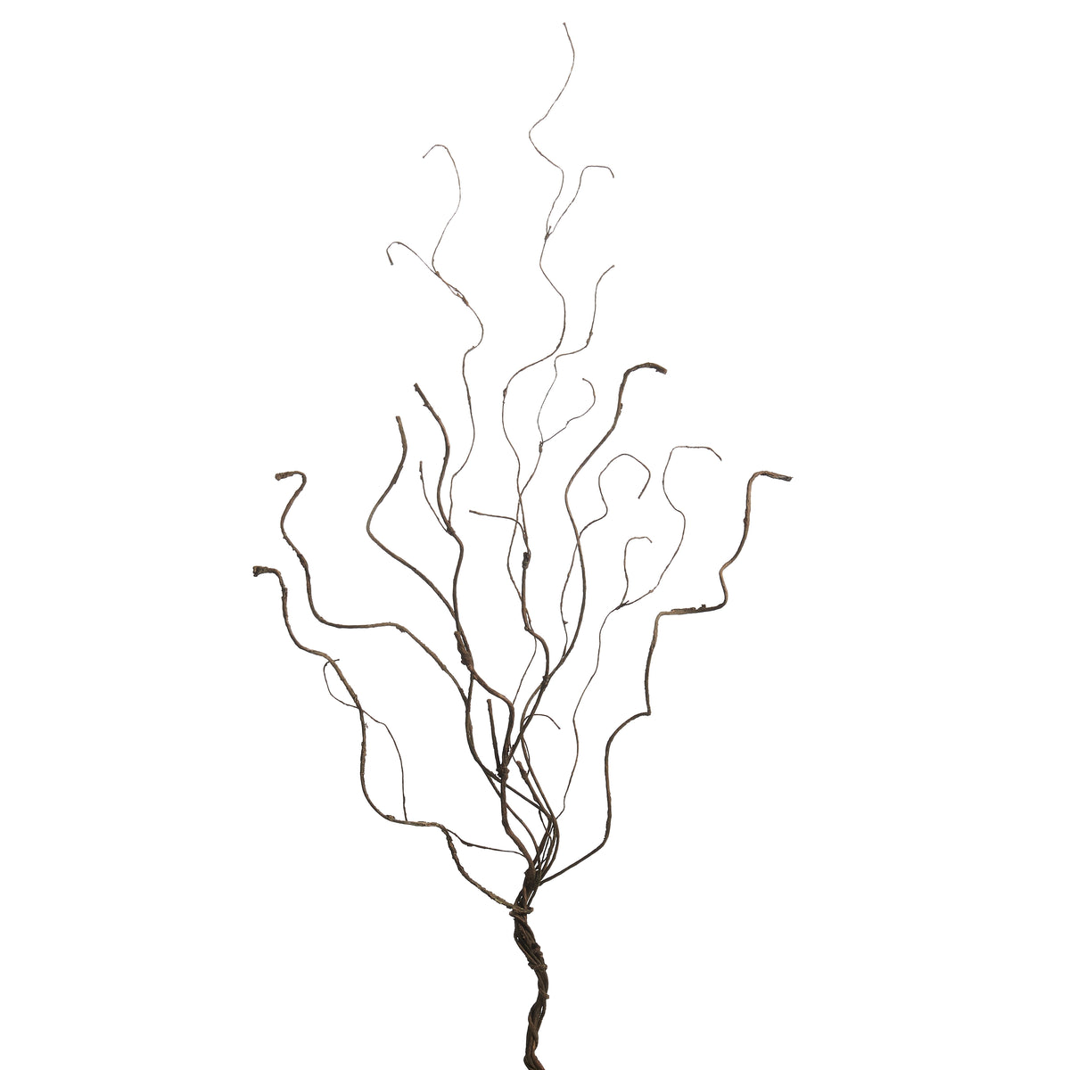 36” Natural Branch- Dark Brown