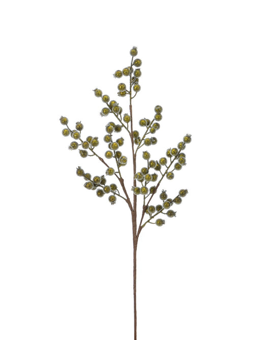Chartreuse Berry Stem
