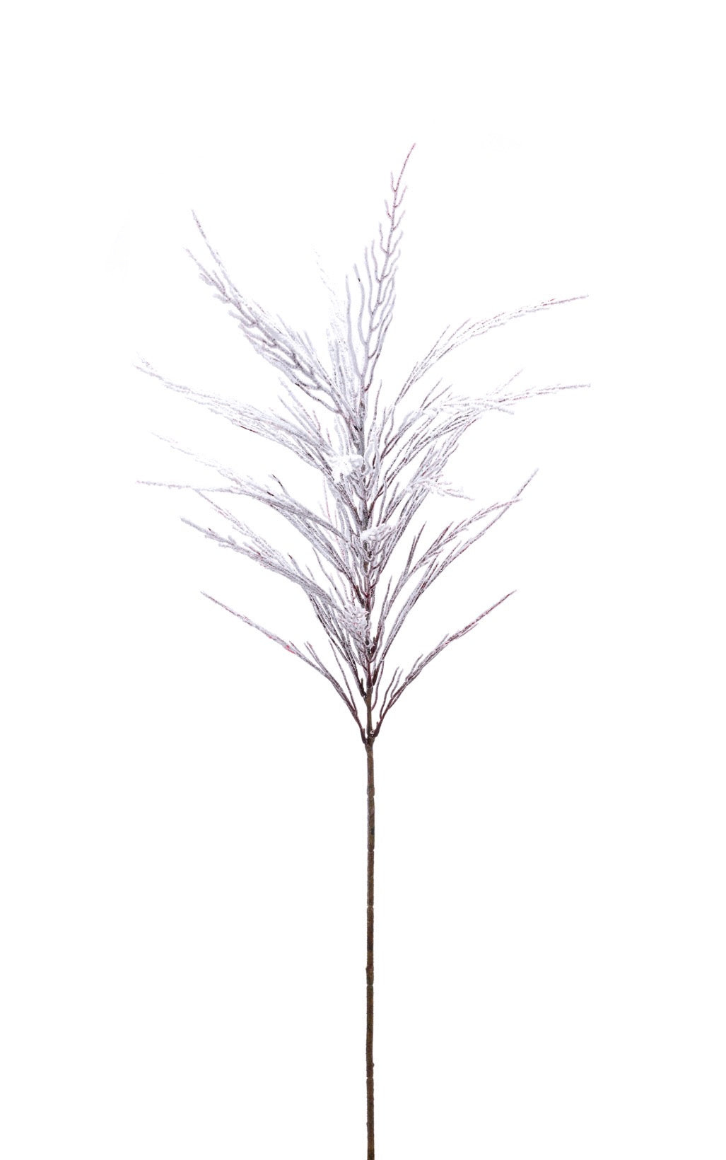 Snowy Cedar Spray