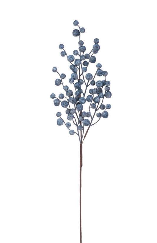 Blueberry Spray