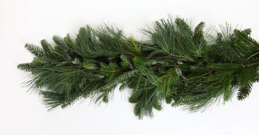 Pine & Fir Fresh Garland