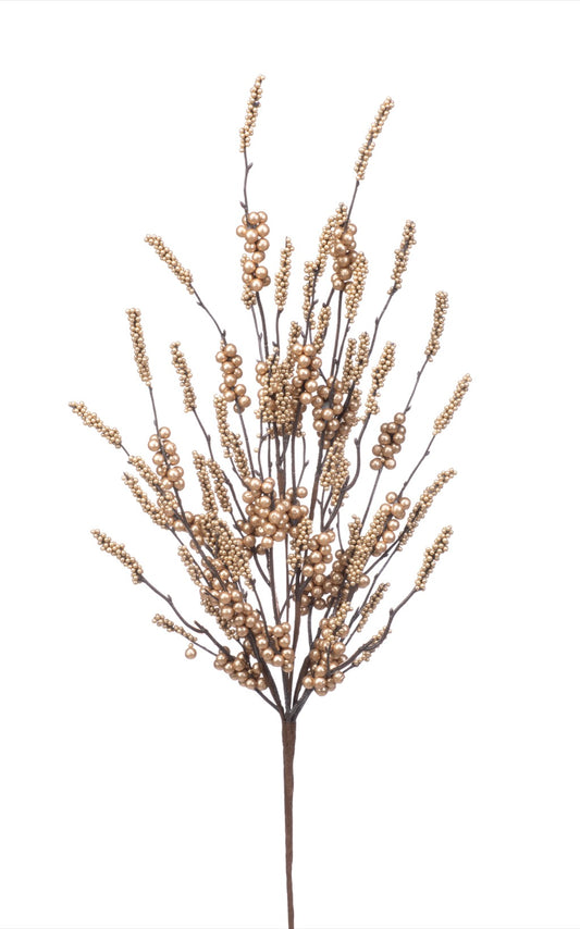 Gold Berry Cluster Bush