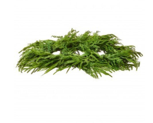 Natural Touch Evergreen Mix Centerpiece