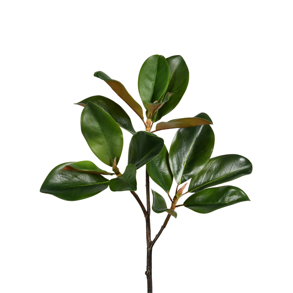 Faux Magnolia Stem - 24 inch