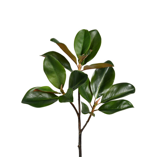 Faux Magnolia Stem - 24 inch